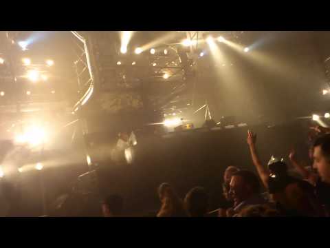 Syndicate 2012 PetDuo