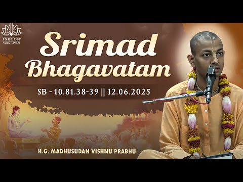 H.G. Madhusudan Vishnu Prabhu || SB-10.81.38-39 || 12.06.2025