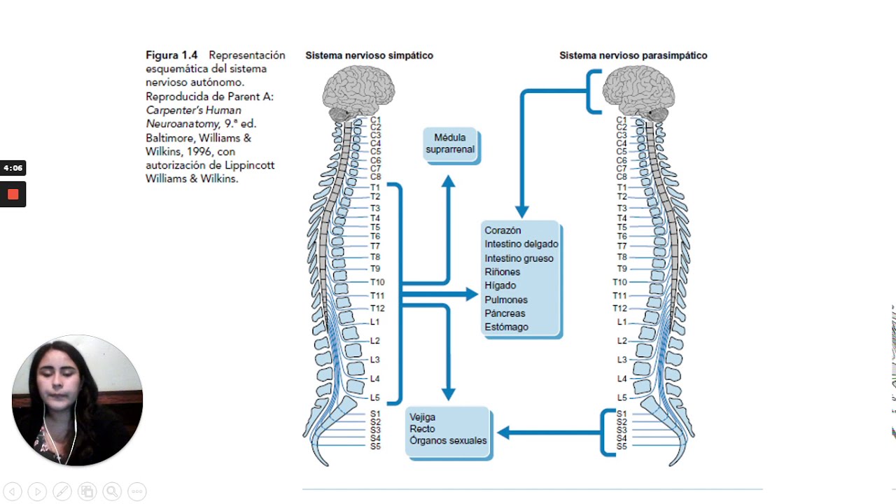 Lesión medular: Nivel neurológico de lesión y discapacidades asociadas