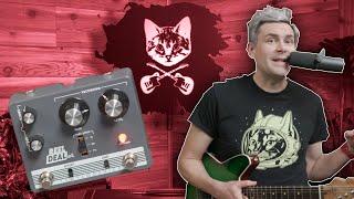 Video thumbnail for Templo Devices Reel Dealuxe Demo : Vintage Vibe, Modern Drive | B's Music Shop by B's Music Shop