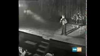 CARLITOS MI BURRITO SABANERO)