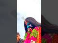 Nacharam Potharaju Karthik Golkonda Bonalu 2024