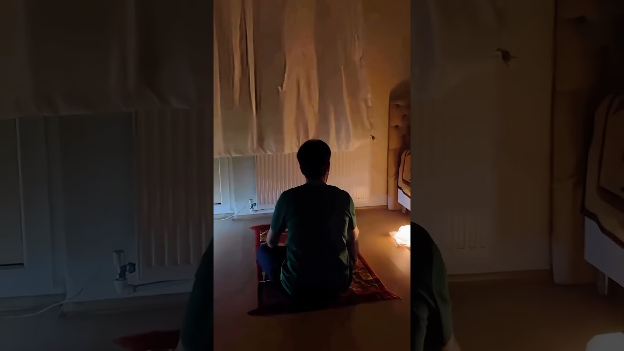 "فصبرٌ جميل".. آية يوسف التي تجبر القلوب في أوقات الضيق 💚✨