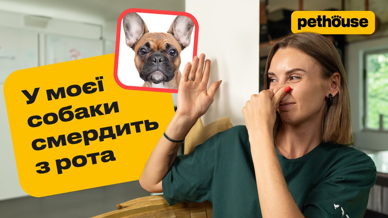 YouTube video preview