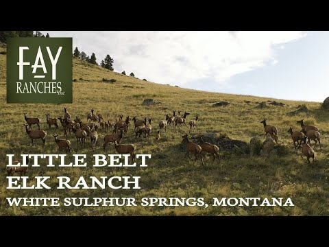 image-Is White Sulphur Springs hot springs Open?