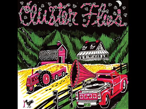 Dogs Stole Things ~ Bye Bye Foot -from the Cluster Flies album