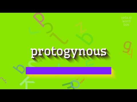 HOW TO PRONOUNCE PROTOGYNOUS? #protogynous