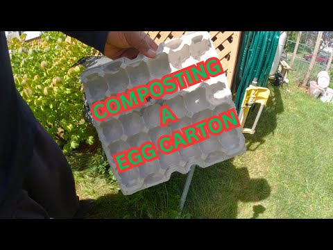 Composting Egg Carton 🥚🥚