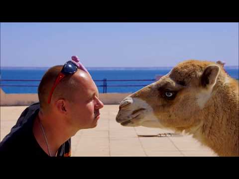 Африка Западная Сахара - Путешествие в страну которой нет 