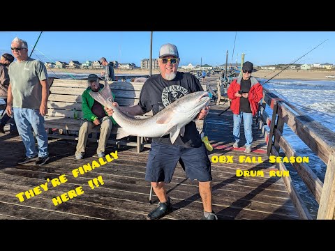 Avon Pier : Fishing For Bull Red Drum OBX