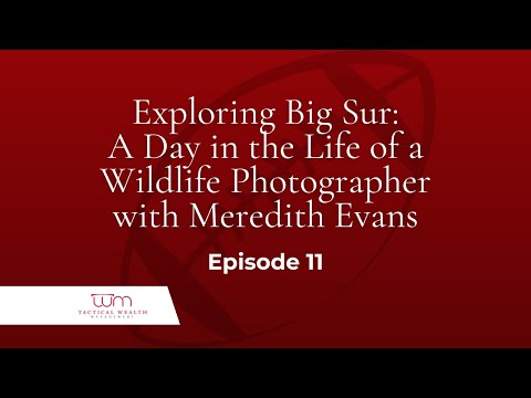 Exploring Big Sur: A Day in the Life of a Wildlife Photographer with Meredith Evans