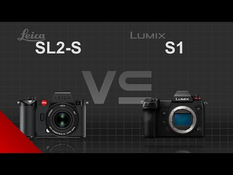 Leica SL2-S vs Panasonic Lumix S1