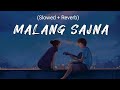 Malang Sajna Lofi 🎶 || Lofi Song