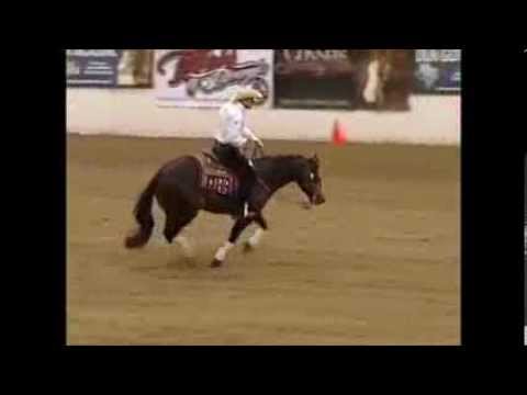 Thiago Boechat and Wimpyneedsacocktail 231