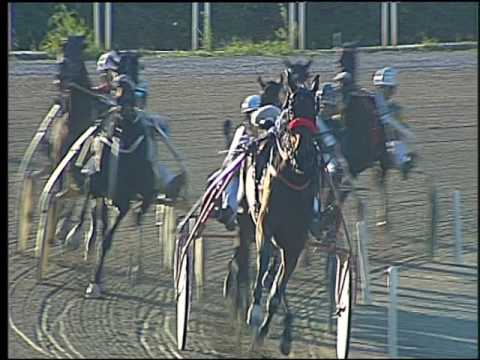 Trotto 25/09/2016 - 5ª corsa