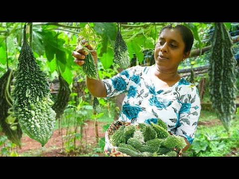 Three special bitter gourd recipes for healthy food meal .village kitchen recipe.Sri Lanka foods