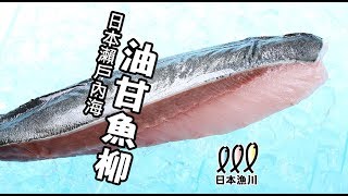 日本漁川系列──【油甘魚】