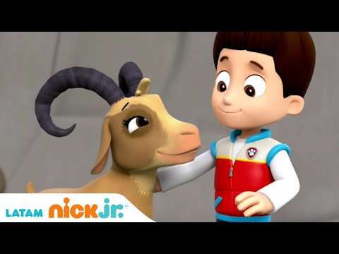 Paw Patrol, Patrulla de cachorros | Misión de rescate | Nick Jr. en Español