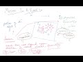 Motion in a Plane, Scalars and Vectors Introduction