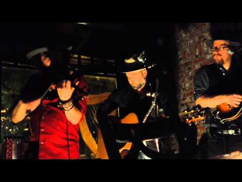 Promotional video thumbnail 1 for Joel Henry Stein
