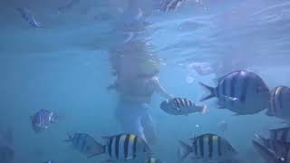 Two super cute friends went snorkeling for half a day at Hon Mun Island