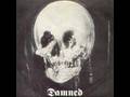 Life goes on(song)-The Damned