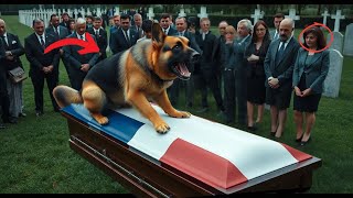 Le chien hurle devant le cercueil... Ce quils découvrent choque tous !