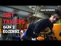 Komple Örnek Antrenman Programı | Seviye A1 | Sirt / Triceps Günü | Hareket 4 - Back Extension