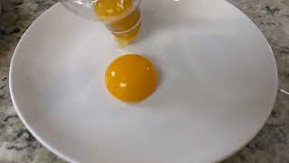 Making Real Green Eggs and Ham - Science Minute