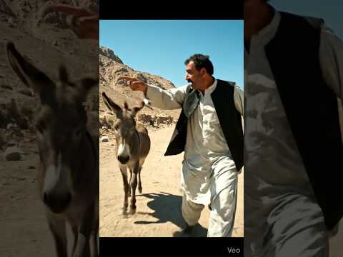 Donkey #donkey #funny #ai #dankey  #donkeykong #aianimation #aivideo #viralvlogs #viralvideo