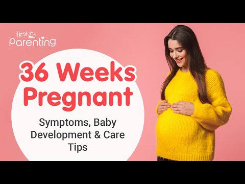 36 Weeks Pregnant - Symptoms, Baby Development, Do's and Don'ts