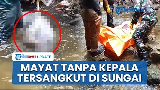 Misteri Temuan Mayat Wanita Tersangkut di Sungai Aek Bolon: Ditemukan Tanpa Kepala Tubuh Membusuk