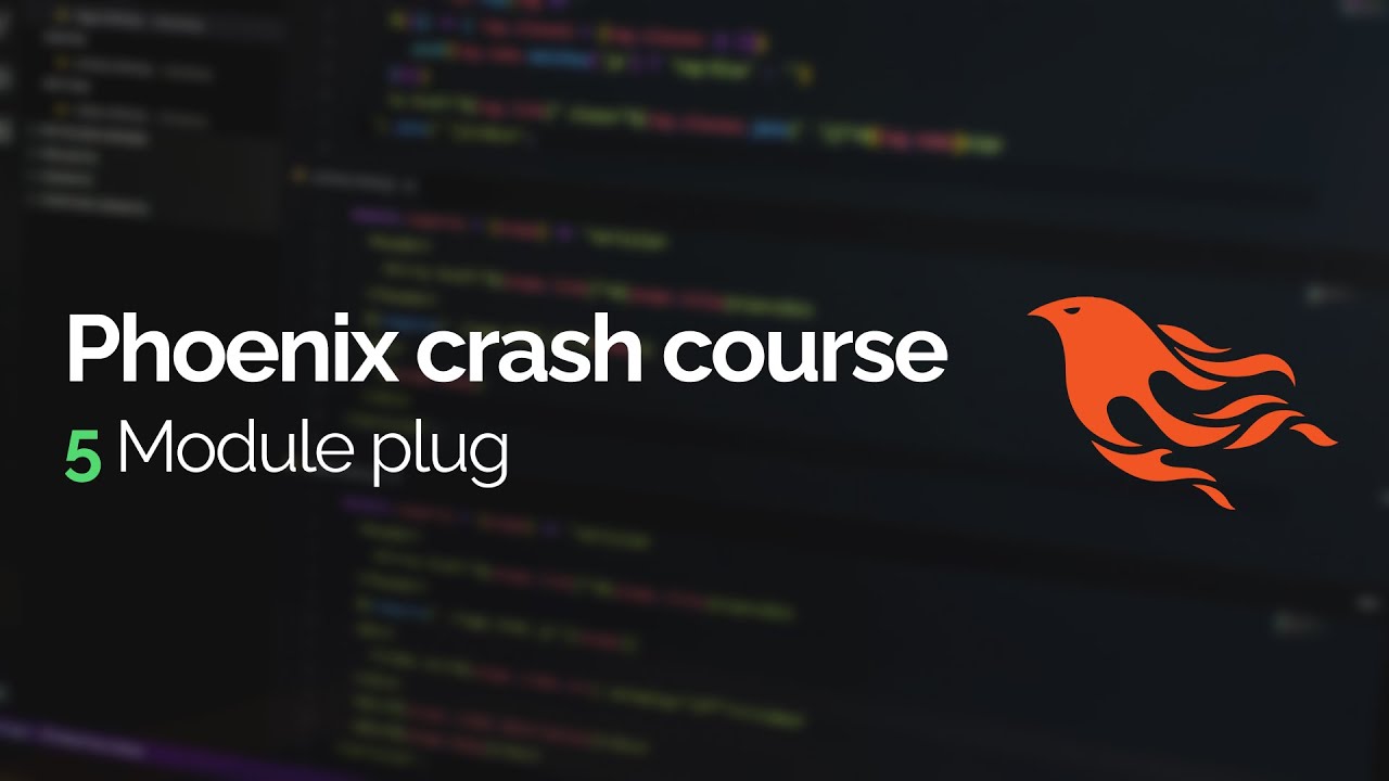Phoenix crash course #5: Module plug