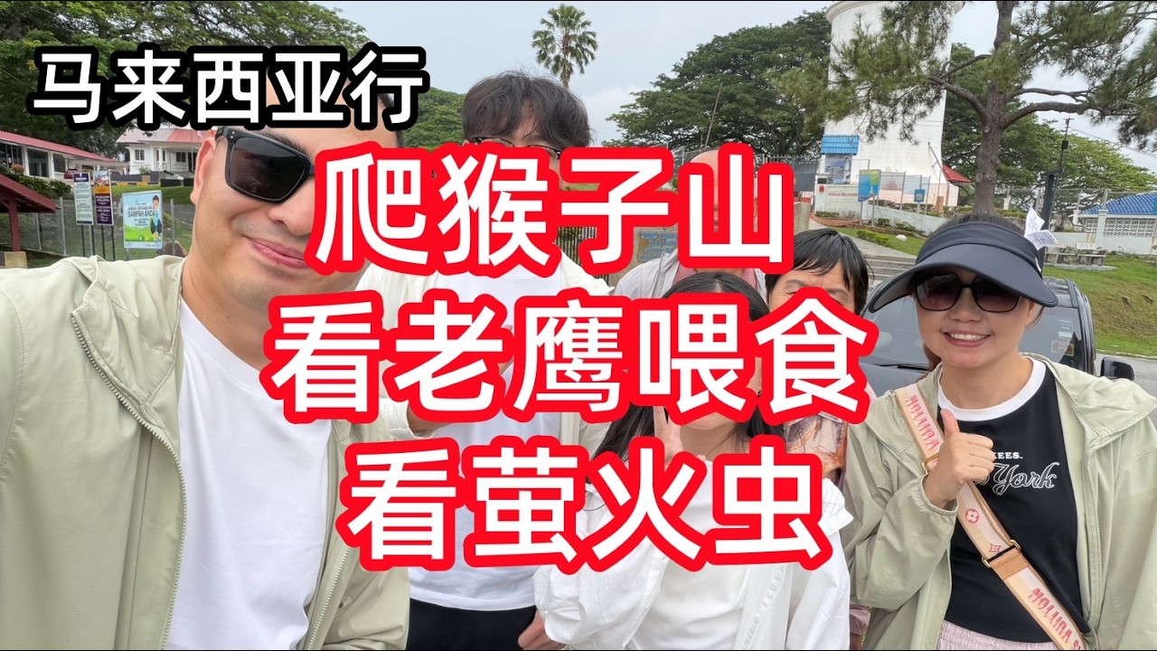 打卡吉隆坡雪兰莪，用一天的时间探索令人难忘的自然奇观。在著名的天空之镜拍摄令人惊叹的倒影照片，观赏野生老鹰俯冲觅食，惊叹于萤火虫的奇妙光芒和罕见的「蓝泪」现象