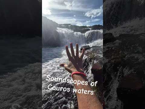 Underwater Couros River #hydrophone #watersound #soundscape