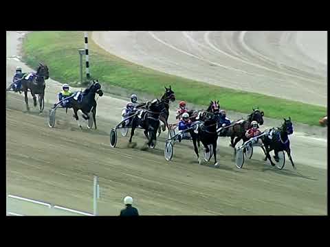 Napoli Trotto 10/06/2021 - 5ª corsa