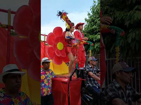 Reina Juvenil Carnaval Infantil San Zenón Magdalena #funny
