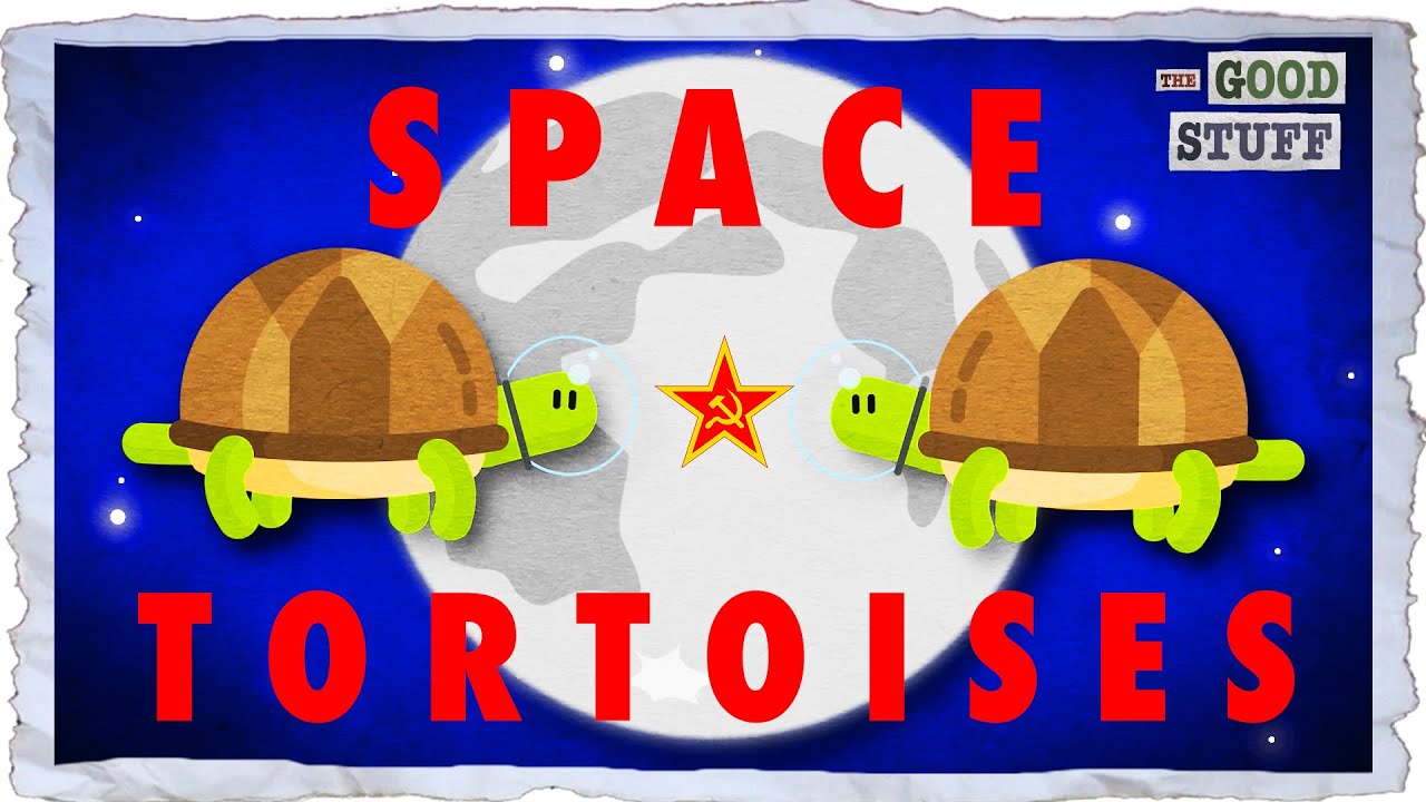 The Tortoises That Beat Humans to the Moon