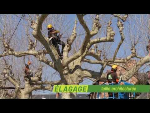 Vidéo externe