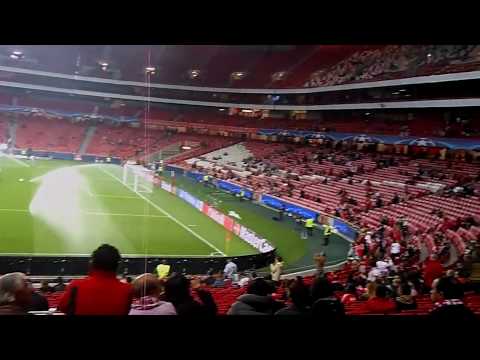 Стадион Лиссабона . Подготовка к игре Команда Bonifika