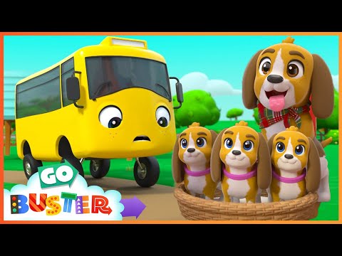 Buster saves the puppy