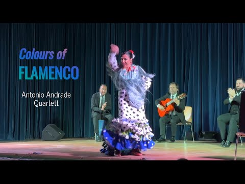 Colors of FLAMENCO – Antonio Andrade Quartett – Kulturhalle Grebenstein November 2024