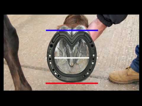 Slide 2 - Blurton Graduated FS Steel Bar Shoe 1 2/Clip  (video)