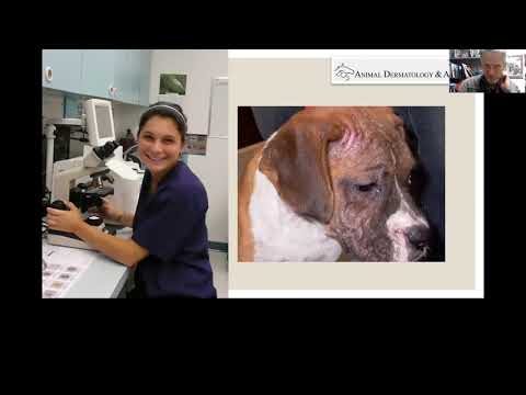 The Integumentary System Part 1