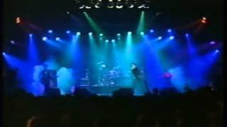 Ghost of an American Airman - For Your Love