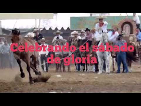 Gran torneo de piales y manganas