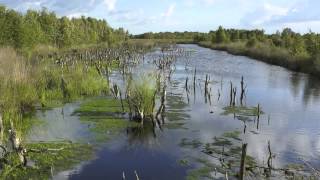 Daniël Lohues - Op 't platteland (foto-clip)