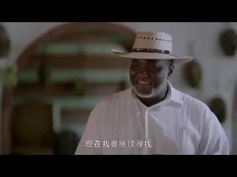 Collateral love z.tao