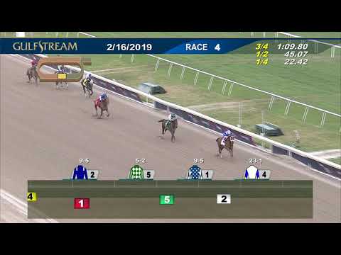 Gulfstream Park February 16, 2019 Race 4