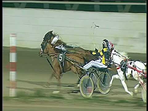 Trotto 11/02/2018 - Minitrotter